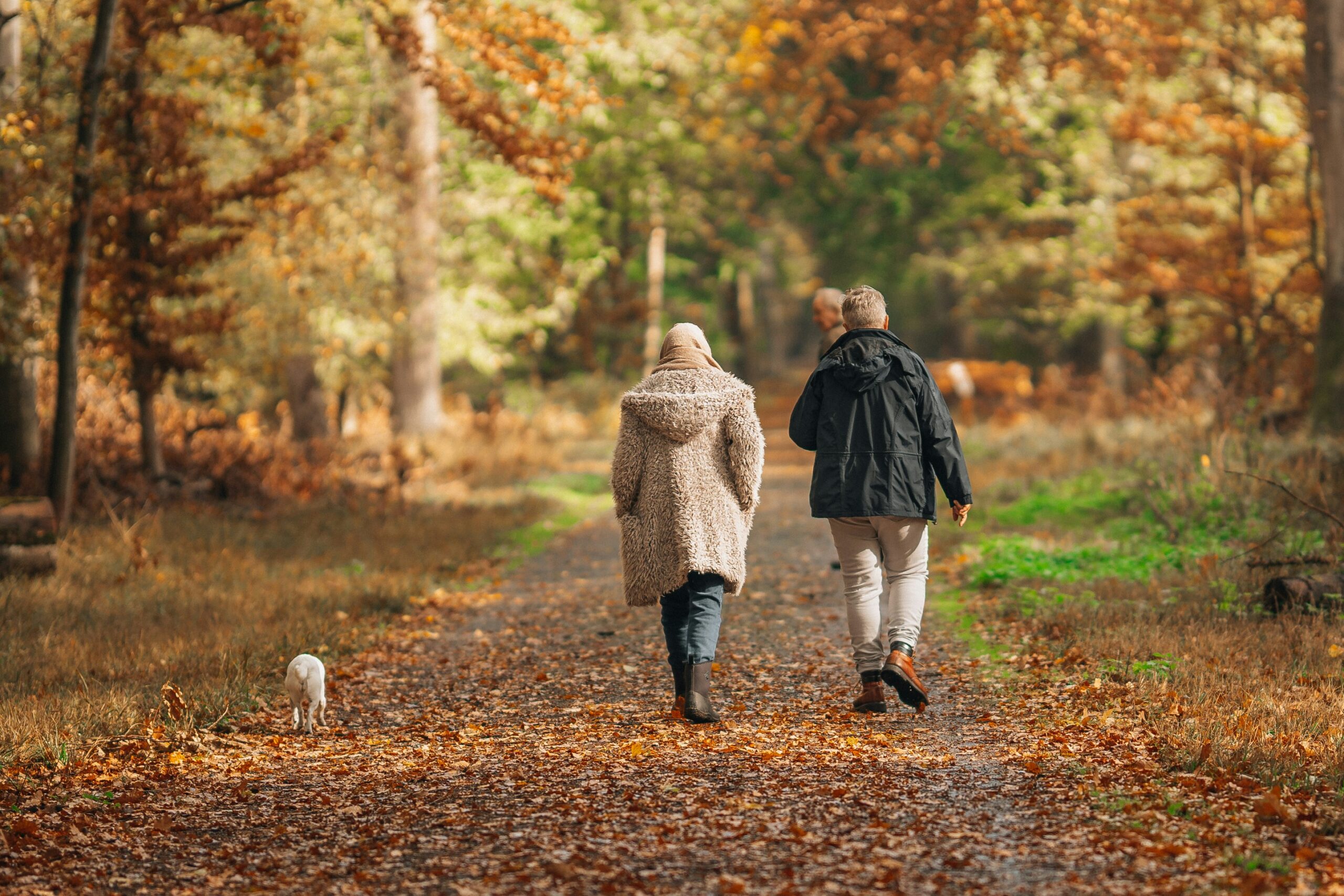 Falling Into Change: Knowing When It’s Time to Talk About Senior Living